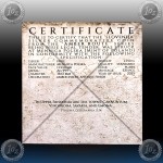 Niue / SLOVENIJA 1 Dollars 2025 (Amber Route) Antique Finish